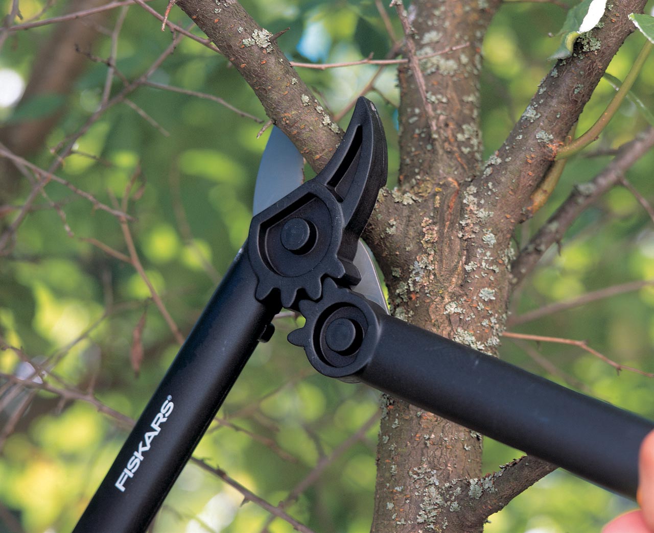 Увеличенная фотография Сучкорез Fiskars контактный с силовым приводом